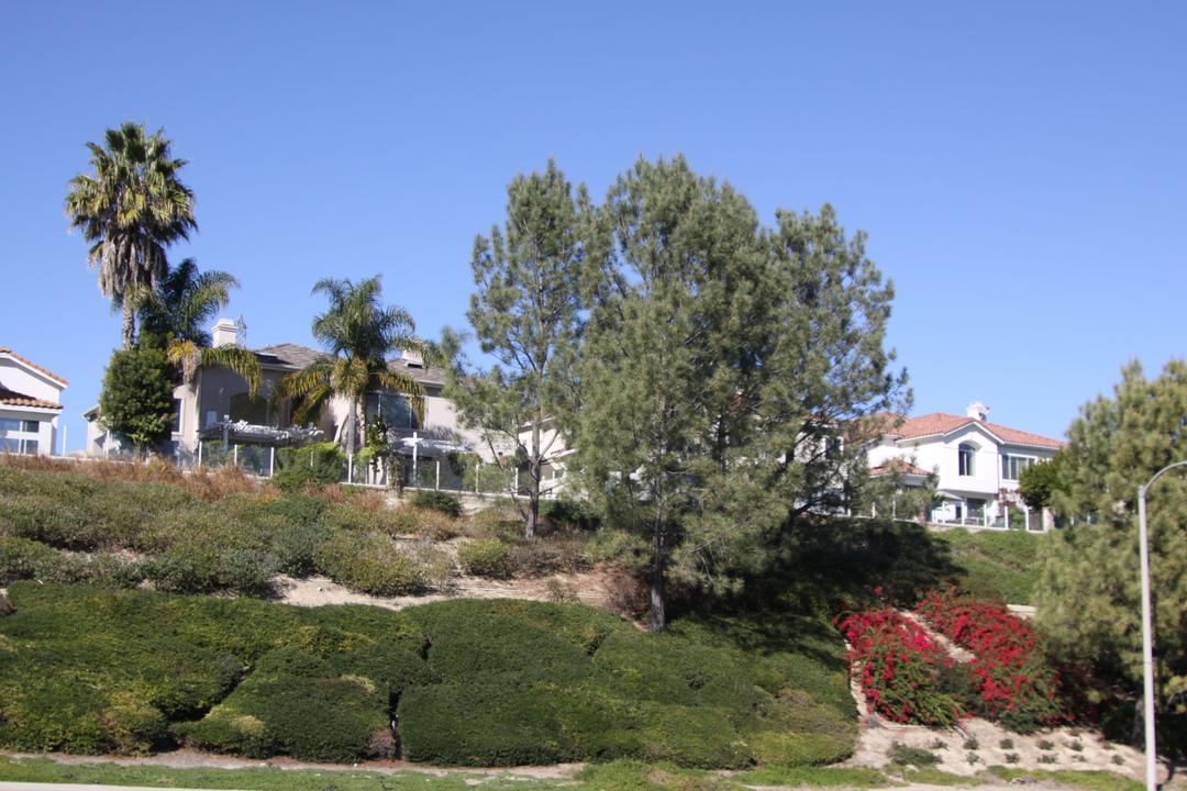 Work Image